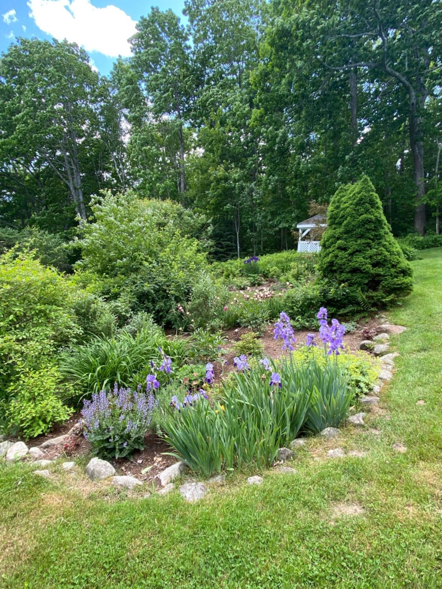 Bed and Breakfast Victorian By The Sea Lincolnville Exteriér fotografie